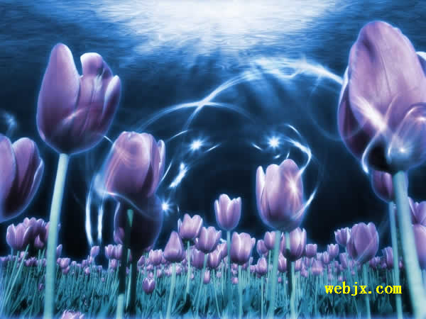 用PS合成生长在海底的紫色郁金香梦幻效果图片1