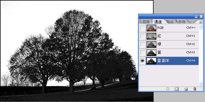 photoshop通道给繁密的树枝抠图教程6