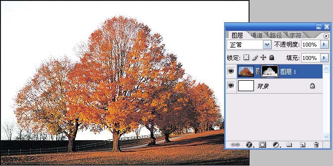 photoshop通道给繁密的树枝抠图教程8