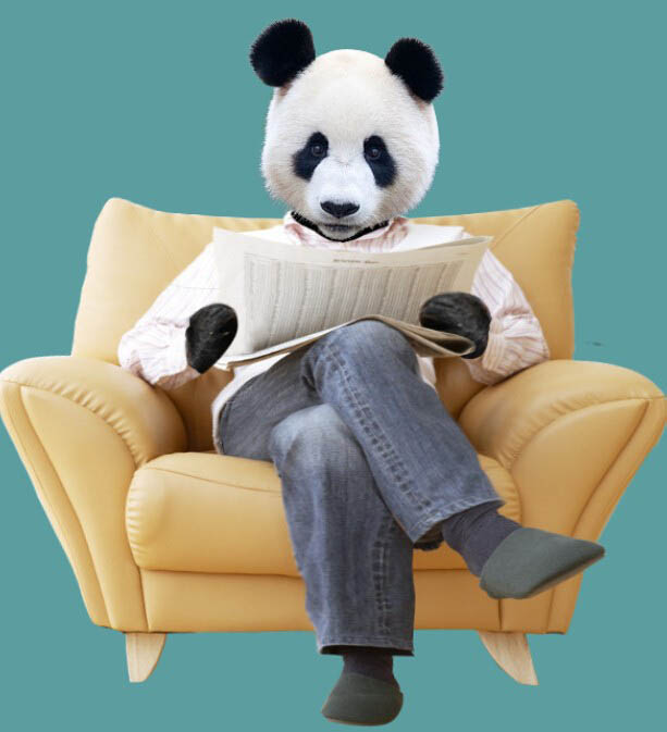 PS合成密林中看报的熊猫人19