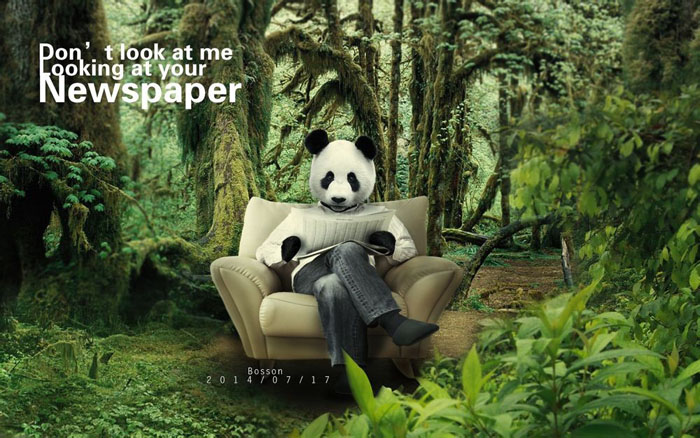 PS合成密林中看报的熊猫人1