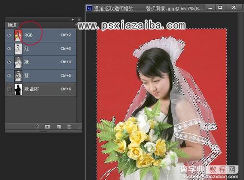 Photoshop抠图教程：通道对单色背景的婚纱照片抠图4