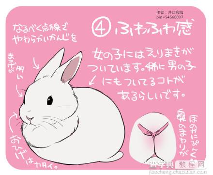 SAI动漫兔子画法参考5