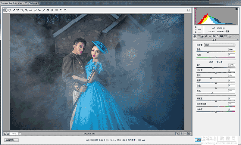 Photoshop调出唯美夜晚的蓝色梦幻婚纱照片5
