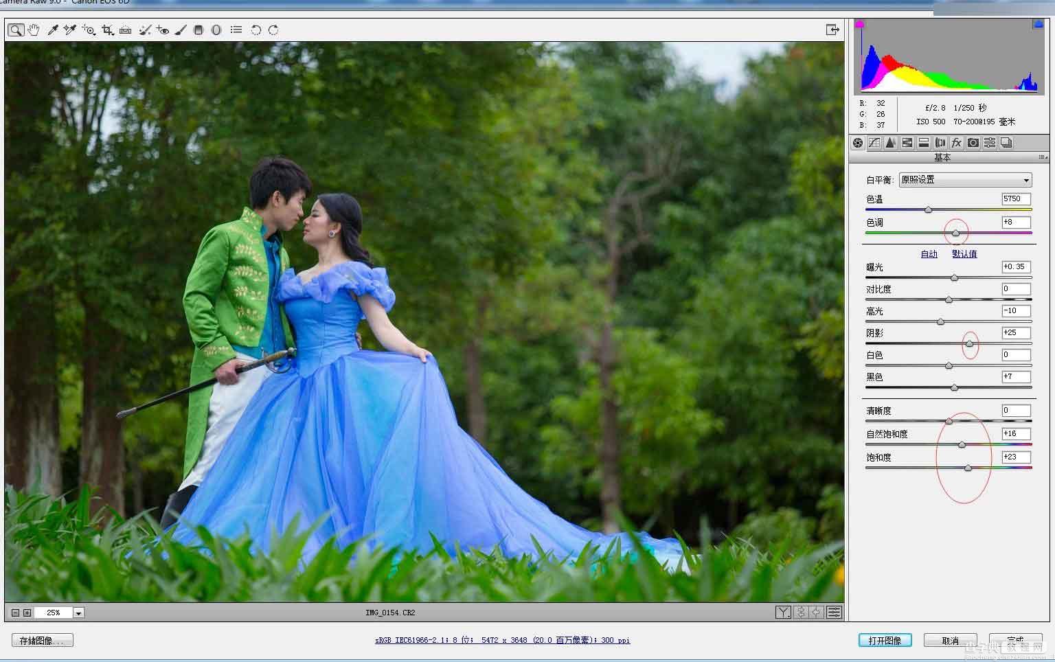 Photoshop调出外景婚片春季清新童话风效果图3