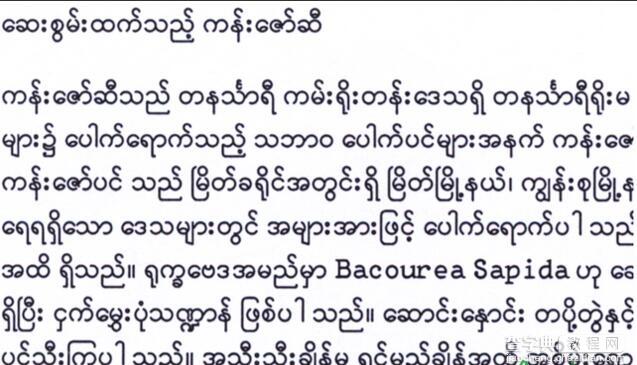 用ABBYY OCR识别技术在电脑上阅读缅甸语_