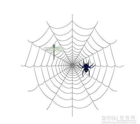 AI绘制比较复杂的蜘蛛网图案1