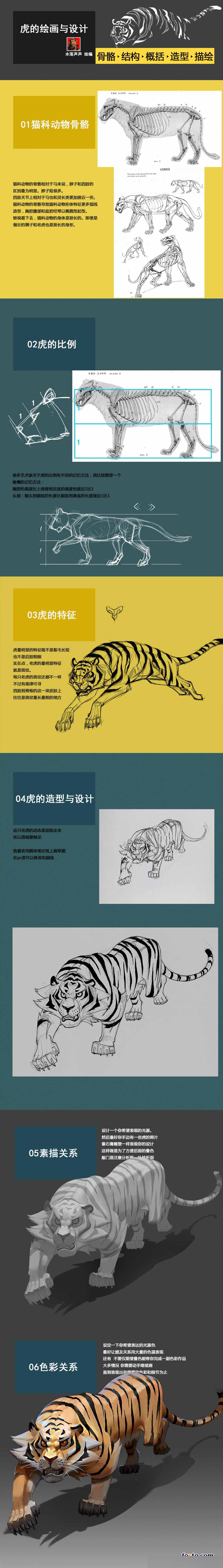 老虎的绘画与设计研究教程1