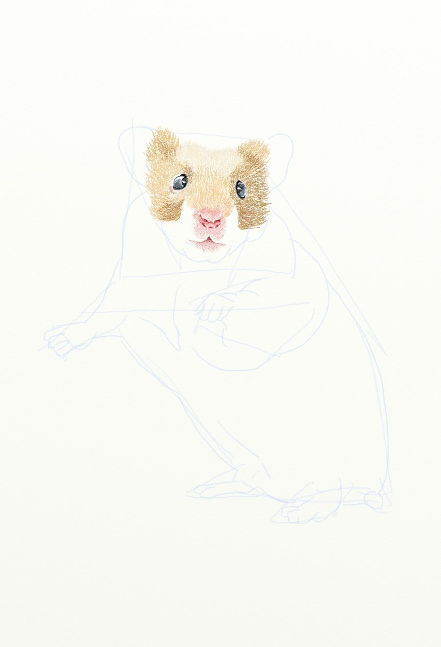 painter绘制一只可爱的小老鼠插画6
