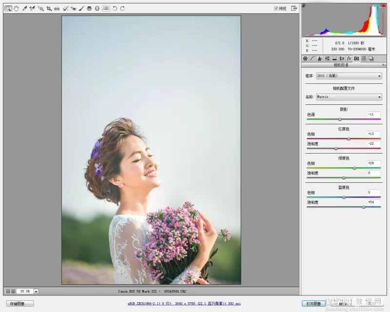 Photoshop调出韩式小清新的外景新娘照片6
