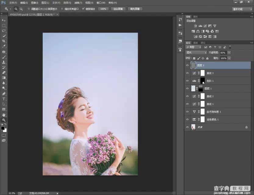 Photoshop调出韩式小清新的外景新娘照片16