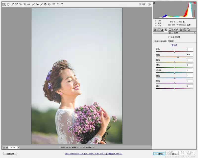 Photoshop调出韩式小清新的外景新娘照片5