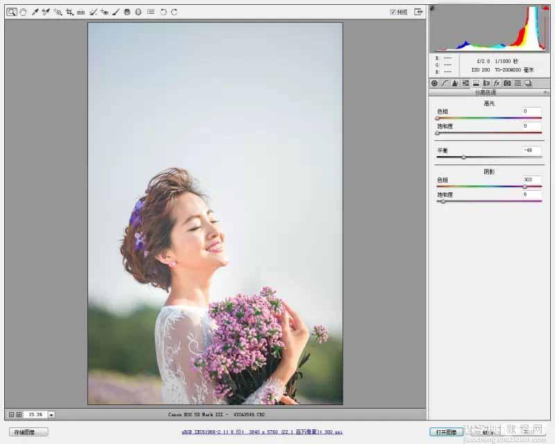 Photoshop调出韩式小清新的外景新娘照片7