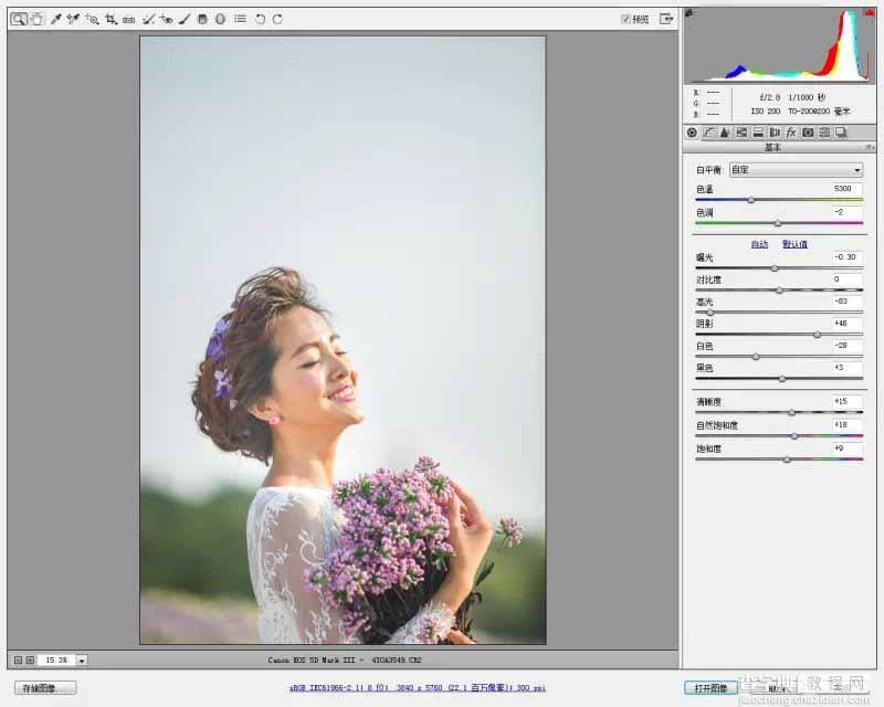 Photoshop调出韩式小清新的外景新娘照片4