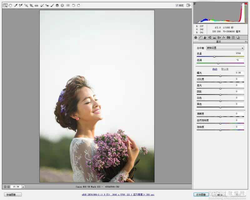 Photoshop调出韩式小清新的外景新娘照片3