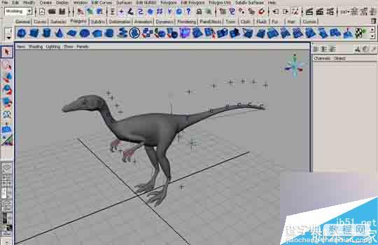 MAYA 7.0恐龙建模的方法和制作步骤介绍1