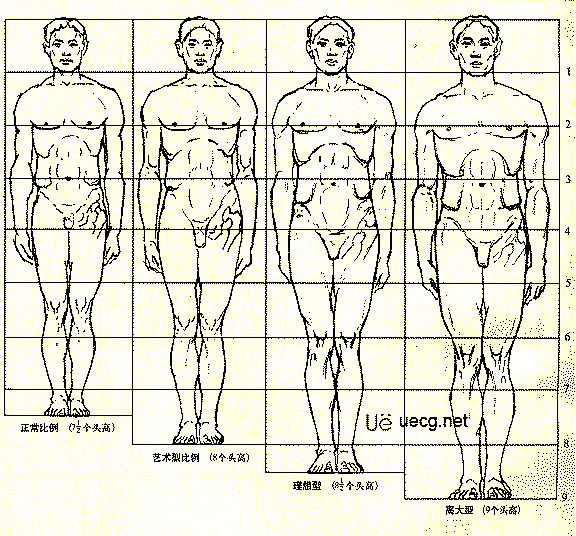 Maya人体造型解剖学基础15