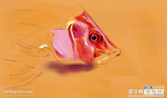 教你用Painter绘制一条逼真的红鲤鱼4