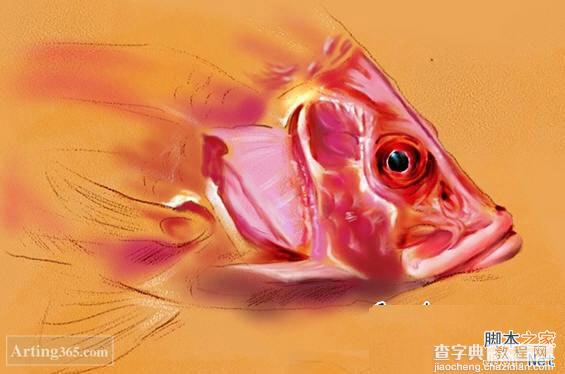 教你用Painter绘制一条逼真的红鲤鱼7