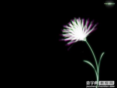 Fireworks ray暗黑中的花朵制作图解教程1
