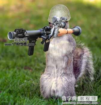 photoshop合成滑稽的松鼠士兵8