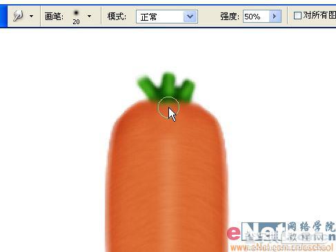 巧用Photoshop鼠绘鲜嫩的胡萝卜14