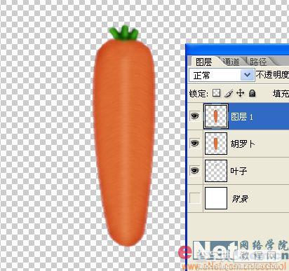 巧用Photoshop鼠绘鲜嫩的胡萝卜15