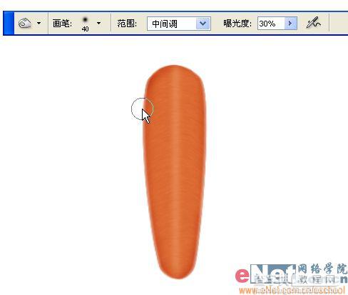 巧用Photoshop鼠绘鲜嫩的胡萝卜9