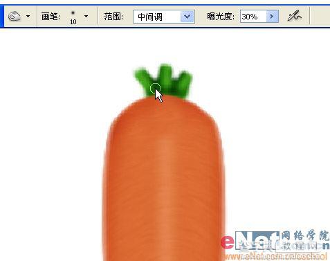 巧用Photoshop鼠绘鲜嫩的胡萝卜12