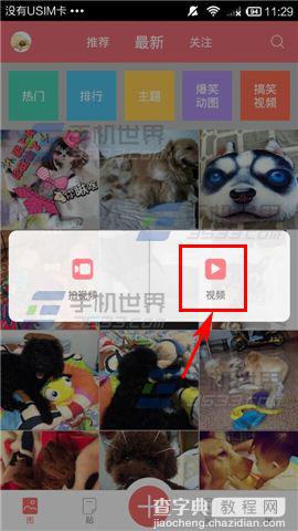 闻闻窝app怎么上传宠物视频？4