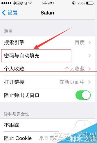 苹果iPhone怎么设置存储网站的登陆信息?3