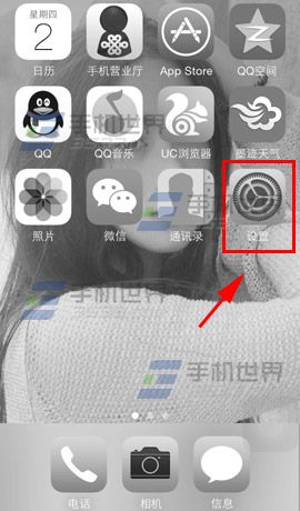 iphone5s黑白屏设置方法1