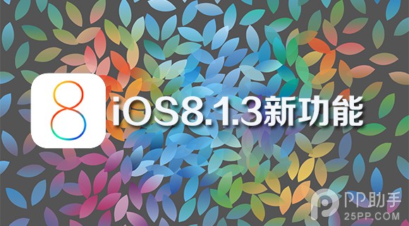 iOS8.1.3beta版新功能详解：支持2/3/4G自行切换1