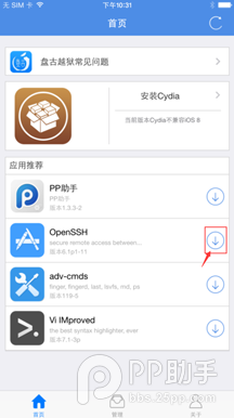 iOS8.0-iOS8.1越狱后修改OpenSSH通道密码教程2