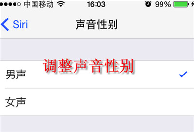 iphone怎么修改siri声音？3