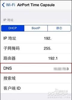 怎样正确修改iOS设备的DNS地址3