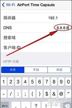 怎样正确修改iOS设备的DNS地址4