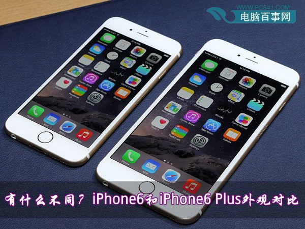 iPhone6和iPhone6 Plus的外观有什么不同1