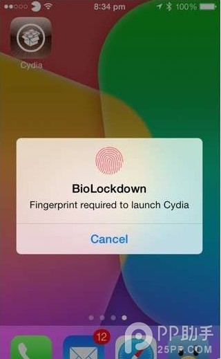 iPhone5s越狱插件BioLockdown怎么用？1