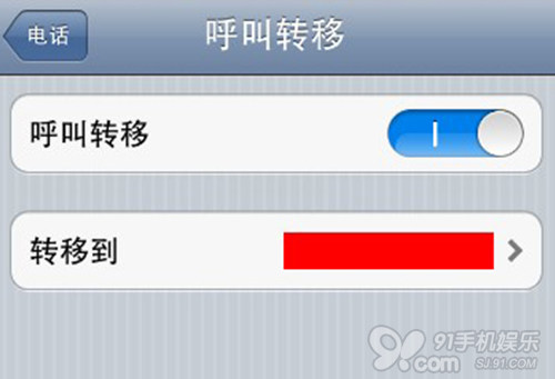 iPhone如何设置占线、无应答呼叫转移3