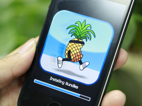 ios6.1.3不完美越狱教程13
