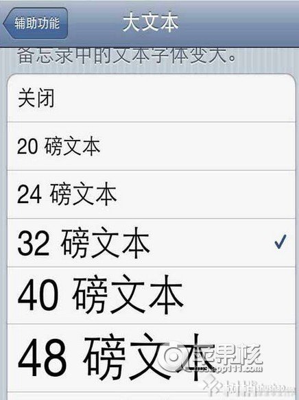 iphone字体大小设置方法1