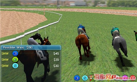 3D模拟赛马评测:超逼真13