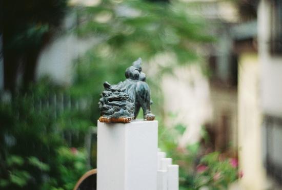 复刻Petzval镜头上手体验6