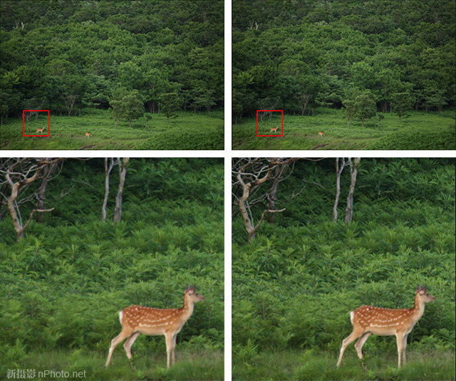 佳能数码镜头解决镜头像差、衍射与低通问题11