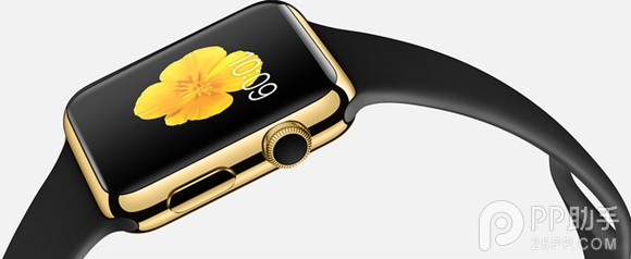 Apple Watch容量果然只有8GB2