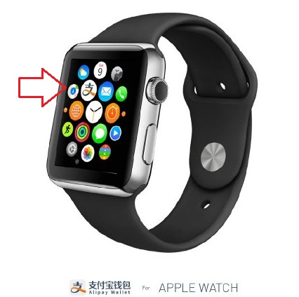 Apple Watch支付宝怎么用 苹果手表支付宝钱包使用方法2