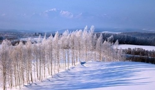 如何拍摄出漂亮的雪景4