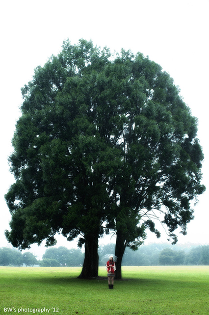 雨中人像拍摄:借用光线营造迷人气氛9