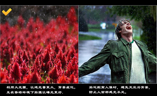如何拍出有韵味的雨季照片4